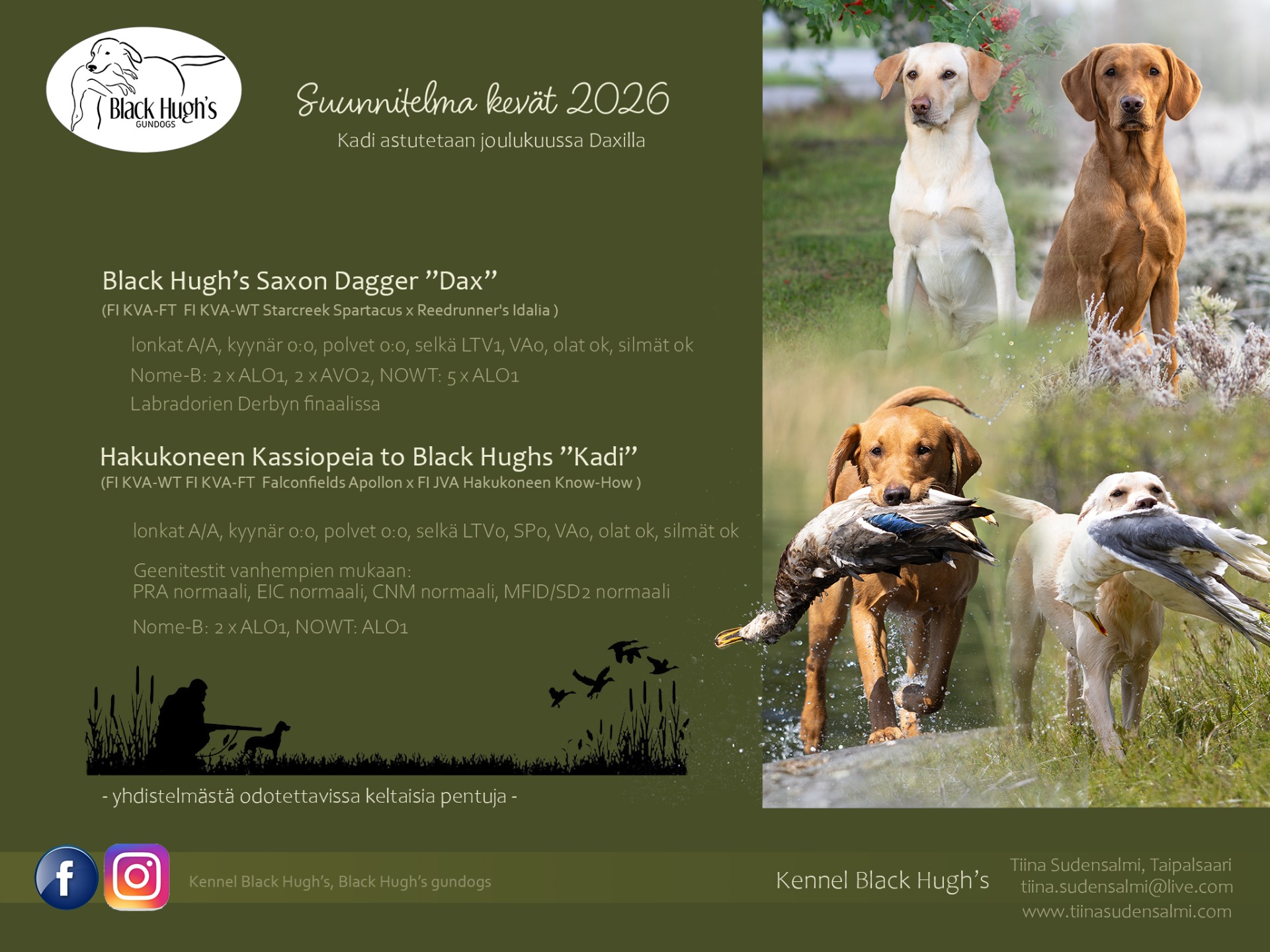 Pentusuunnitelma 2026